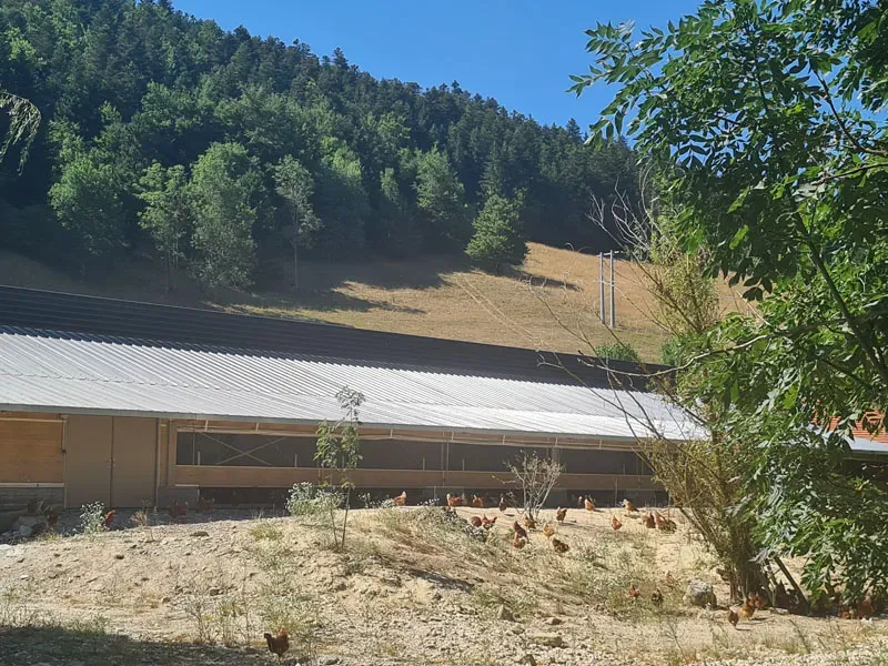 Livraison d'œufs à Corrençon-en-Vercors